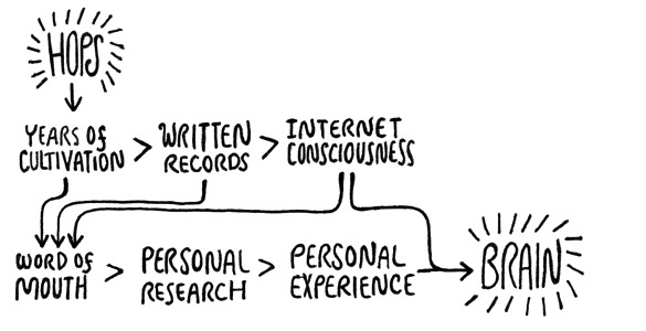 How hops entered my consciousness.